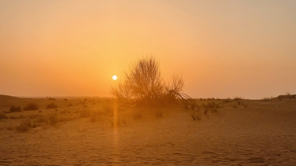 Low sun setting over an open desert horizon
