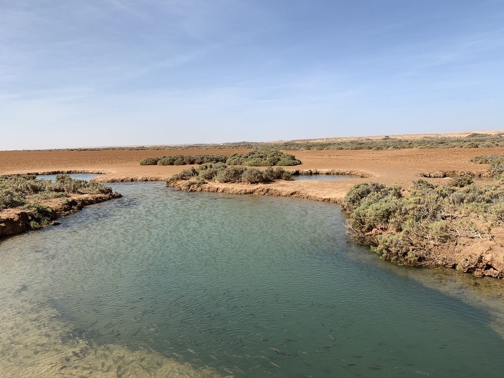 Turquoise water of a desert oasis surrounded by scrub